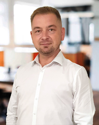 Bogdan Chitescu