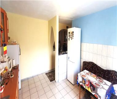 case vile  de vanzare Lunca Cetatuii -Iasi