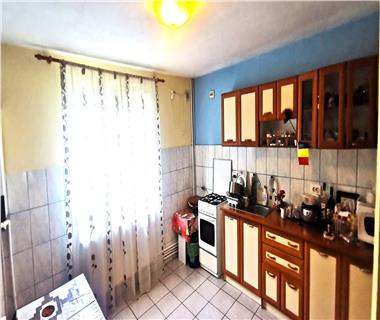 case vile  de vanzare Lunca Cetatuii -Iasi
