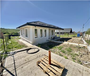 case vile de vanzare Visani-Iasi